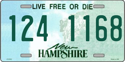 NH license plate 1241168