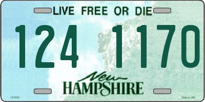 NH license plate 1241170
