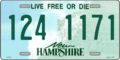 NH license plate 1241171
