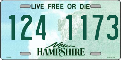 NH license plate 1241173