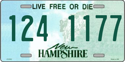 NH license plate 1241177