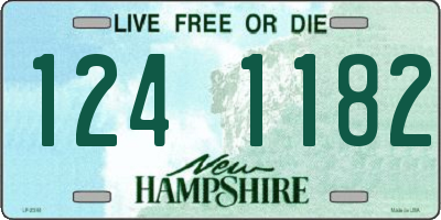 NH license plate 1241182