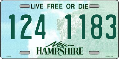 NH license plate 1241183