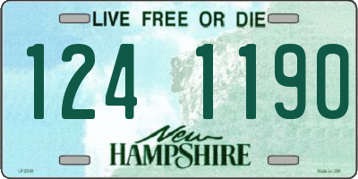 NH license plate 1241190