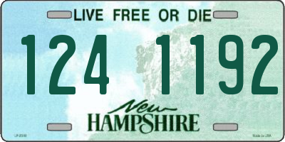 NH license plate 1241192