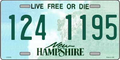 NH license plate 1241195
