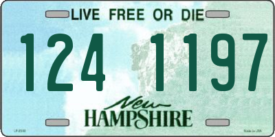 NH license plate 1241197