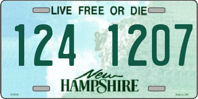 NH license plate 1241207