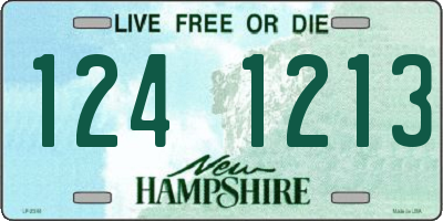 NH license plate 1241213