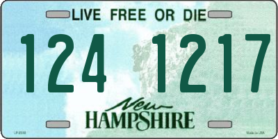 NH license plate 1241217