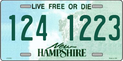 NH license plate 1241223
