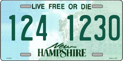 NH license plate 1241230