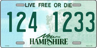 NH license plate 1241233