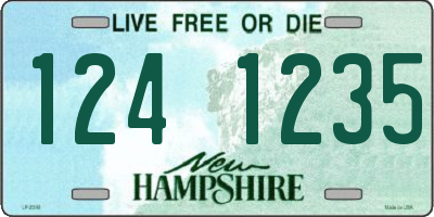 NH license plate 1241235