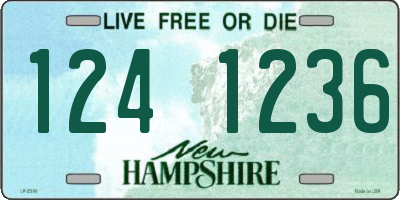 NH license plate 1241236