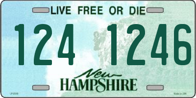 NH license plate 1241246