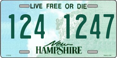 NH license plate 1241247