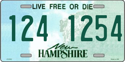 NH license plate 1241254