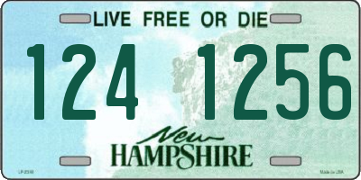 NH license plate 1241256