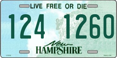 NH license plate 1241260