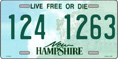 NH license plate 1241263