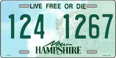 NH license plate 1241267