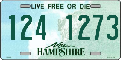 NH license plate 1241273