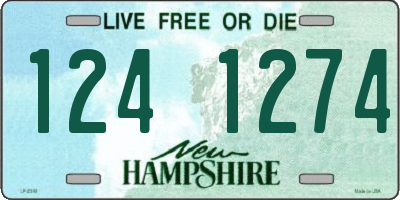 NH license plate 1241274