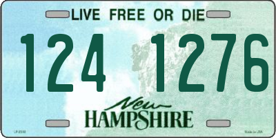 NH license plate 1241276