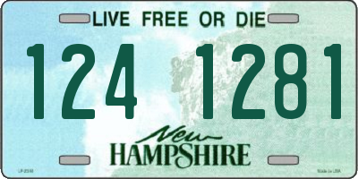 NH license plate 1241281