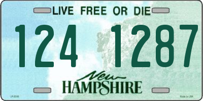 NH license plate 1241287