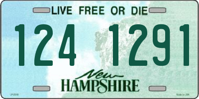 NH license plate 1241291