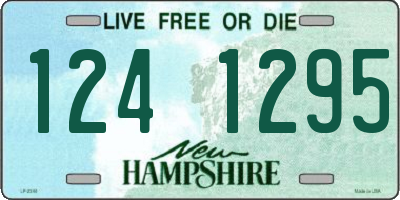 NH license plate 1241295