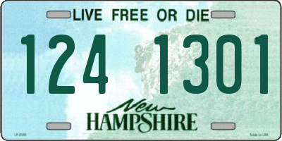 NH license plate 1241301