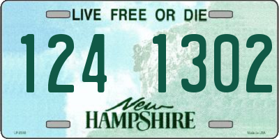 NH license plate 1241302