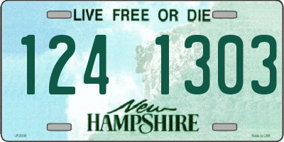 NH license plate 1241303