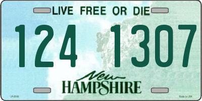 NH license plate 1241307