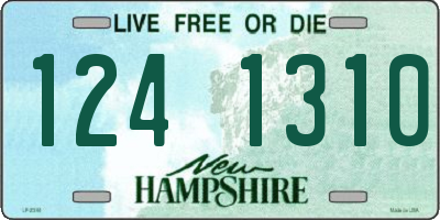 NH license plate 1241310