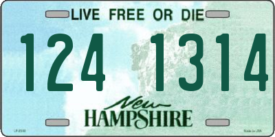NH license plate 1241314