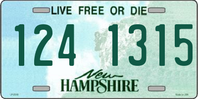 NH license plate 1241315