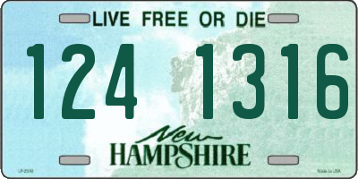 NH license plate 1241316