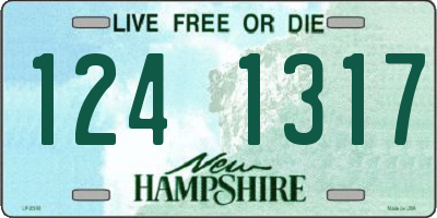 NH license plate 1241317