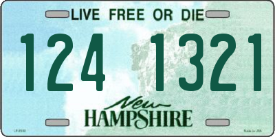 NH license plate 1241321