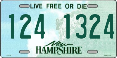 NH license plate 1241324