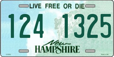 NH license plate 1241325