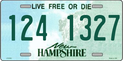NH license plate 1241327