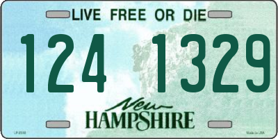 NH license plate 1241329