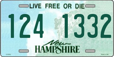 NH license plate 1241332