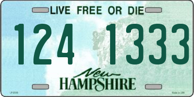 NH license plate 1241333