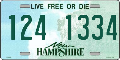NH license plate 1241334